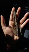 [Ouddict.com] Oud Wood