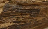 [Ouddict.com] Oud Wood