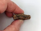 [Ouddict.com] Oud Wood