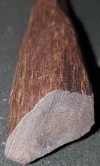 20240703_112857.jpg