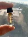 [Ouddict.com] Oud of the Day