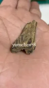 [Ouddict.com] Oud Photos