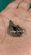 [Ouddict.com] Oud Photos