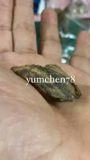 [Ouddict.com] Oud Photos