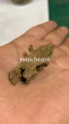 [Ouddict.com] Oud Photos