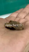 [Ouddict.com] Oud Photos