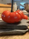 [Ouddict.com] Gardening