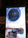 [Ouddict.com] Question regarding musk storage and maceration