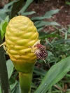[Ouddict.com] Gardening