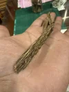[Ouddict.com] Oud of the Day