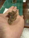 [Ouddict.com] Oud of the Day