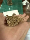 [Ouddict.com] Oud of the Day