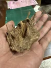 [Ouddict.com] Oud of the Day