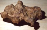 [Ouddict.com] Oud Wood