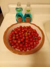 [Ouddict.com] Gardening