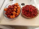 [Ouddict.com] Gardening