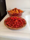 [Ouddict.com] Gardening