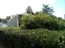 [Ouddict.com] Gardening