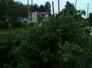 [Ouddict.com] Gardening