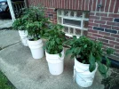 [Ouddict.com] Gardening