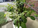 [Ouddict.com] Gardening
