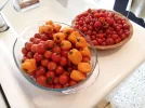 [Ouddict.com] Gardening