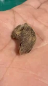 [Ouddict.com] Oud Photos