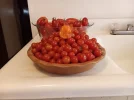 [Ouddict.com] Gardening