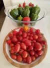 [Ouddict.com] Gardening