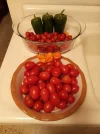 [Ouddict.com] Gardening