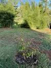 [Ouddict.com] Gardening