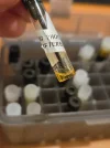 [Ouddict.com] Oud of the Day