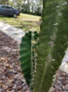 [Ouddict.com] Gardening