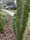 [Ouddict.com] Gardening