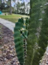 [Ouddict.com] Gardening