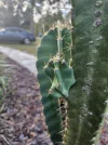 [Ouddict.com] Gardening