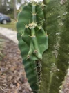 [Ouddict.com] Gardening