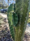 [Ouddict.com] Gardening