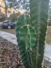 [Ouddict.com] Gardening