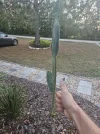 [Ouddict.com] Gardening