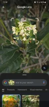 [Ouddict.com] Gardening