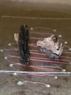 [Ouddict.com] Burn of the Day