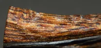 [Ouddict.com] Oud Wood