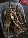 [Ouddict.com] Gardening