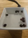 [Ouddict.com] Gardening