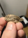 [Ouddict.com] Oud Wood