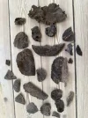 [Ouddict.com] Oud Photos