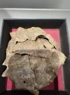[Ouddict.com] Oud Photos