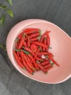 [Ouddict.com] Gardening