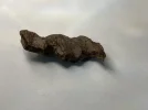 [Ouddict.com] Oud of the Day